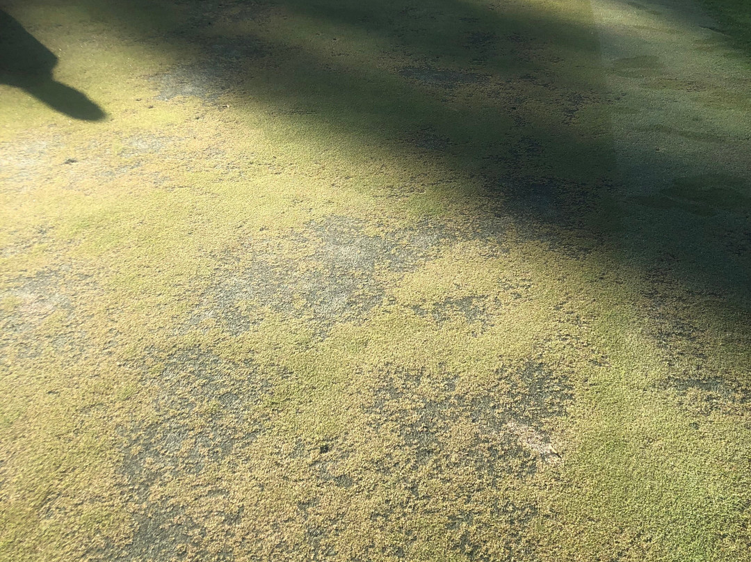 Cypresswood Golf Club-斯普林必去景点