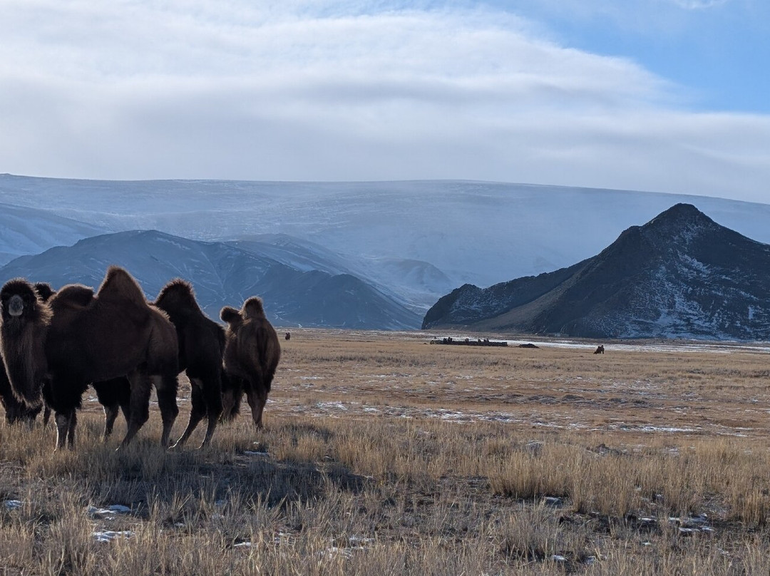 Kazakh Tour-Olgiy必去景点