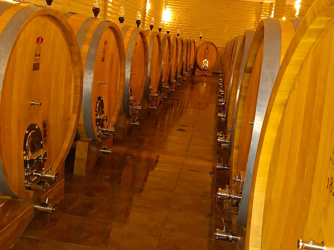 Home Restaurant Cobza主图