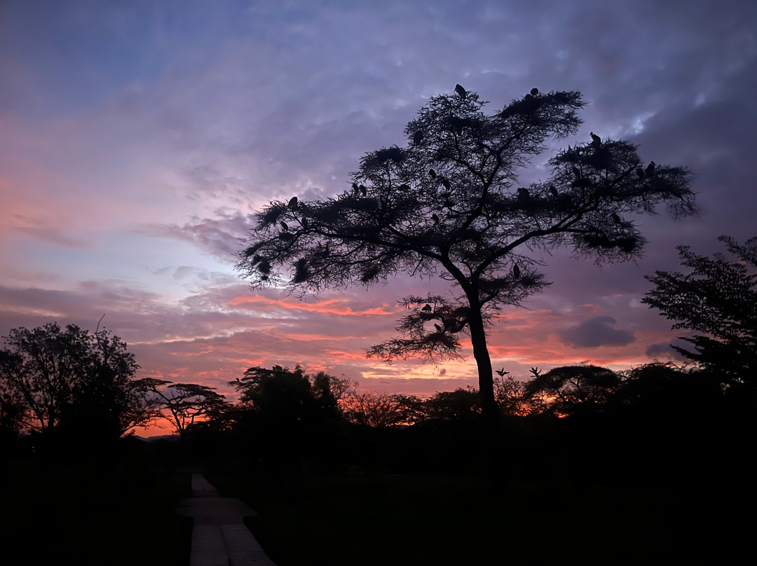 Baiskeli Adventures-内罗毕必去景点