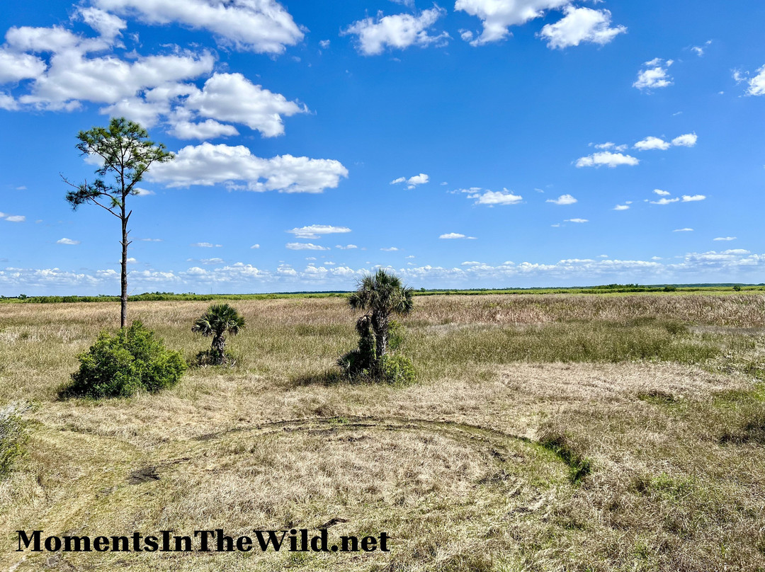 CREW Marsh Trails-Immokalee必去景点