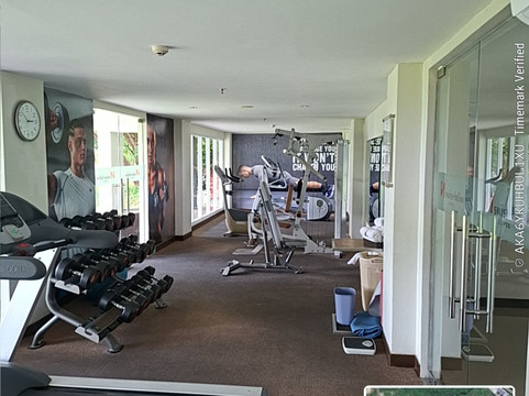 卢武克瑞士贝尔旅店主图