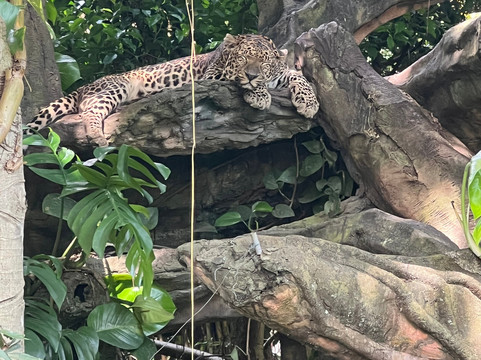 Travel Point Bali-Ketewel必去景点