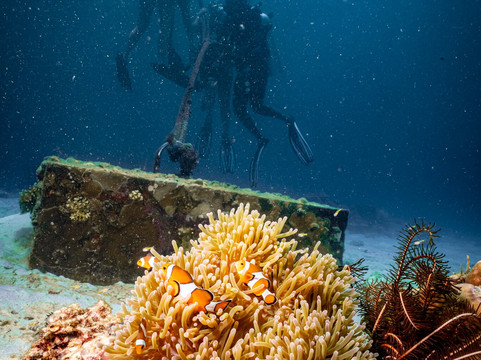 Forra Diving - Day Tour-丽贝岛必去景点