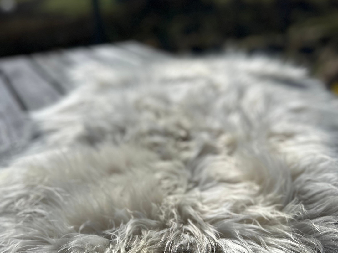 Gift Shop sheepskins skye-Glendale必去景点