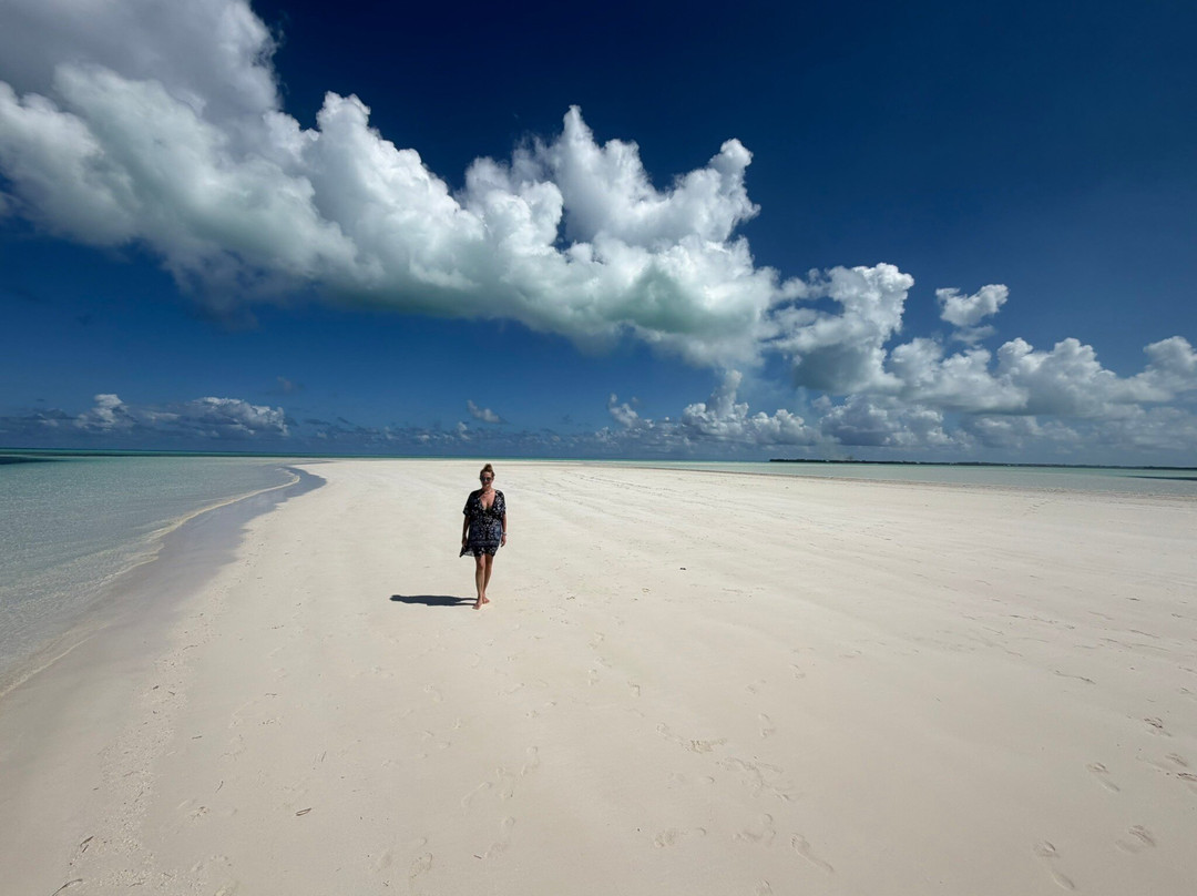 True Blue Charters | Spanish Wells Bahamas Guide-Spanish Wells必去景点