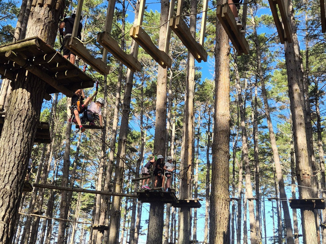 Tree Adventures-伍德山必去景点