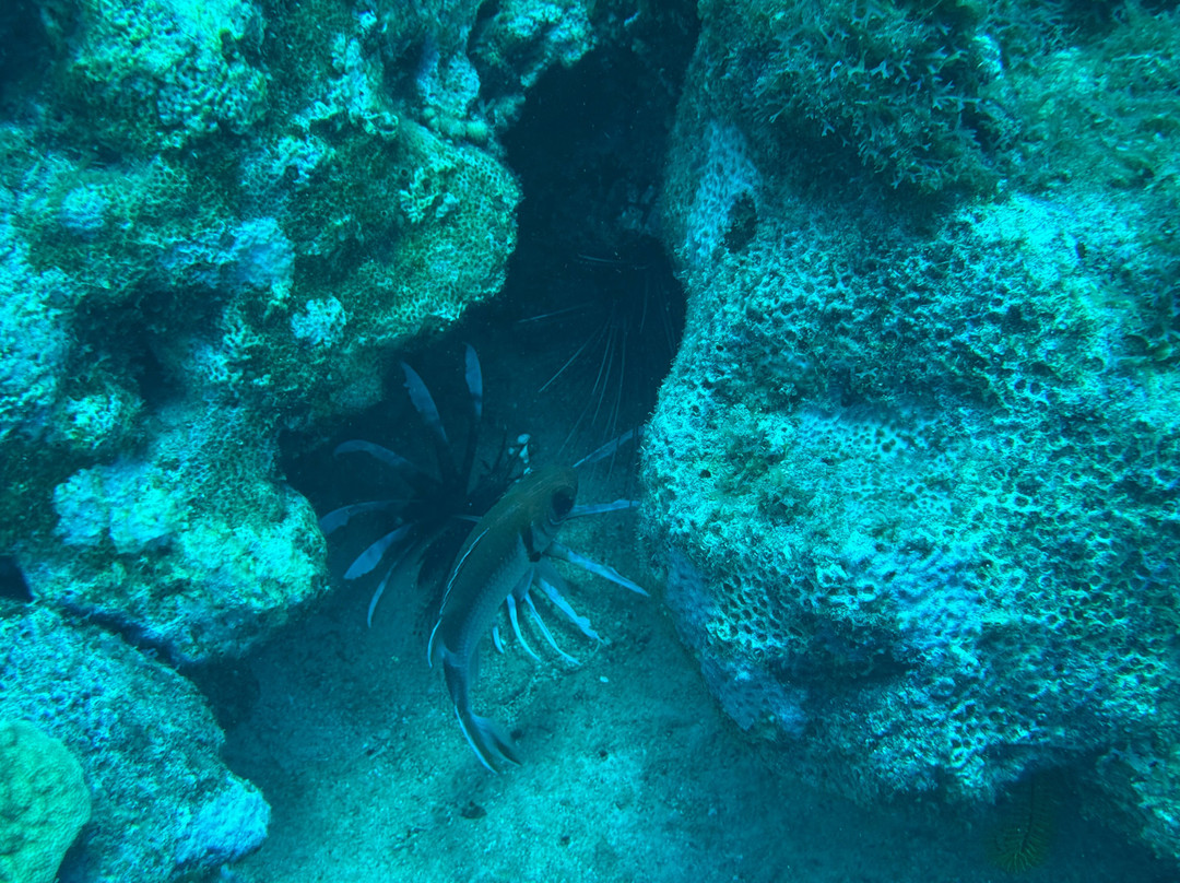 Kariba Plongee-圣吕斯必去景点