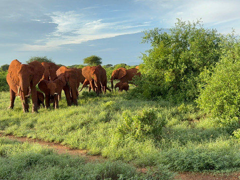 Watamu Diego Safari Day Tours-瓦塔木必去景点