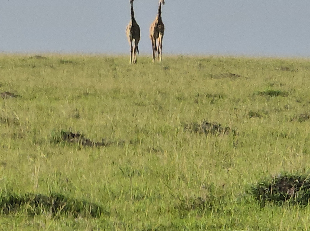 Stokman Safaris-Ruiru必去景点