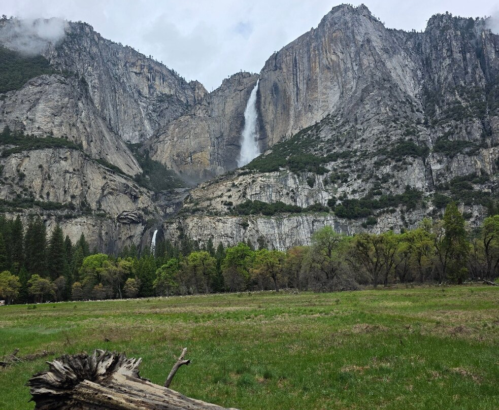 Yosemite 360 Tours-菲什营必去景点
