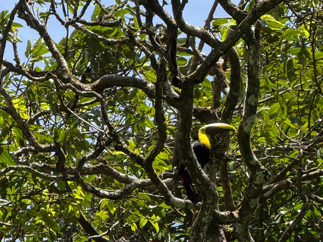 Destination Services CR-利比里亚必去景点