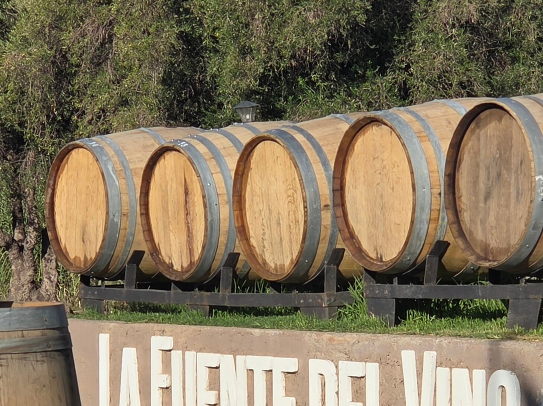 Bodega Labiano-圣拉斐尔必去景点