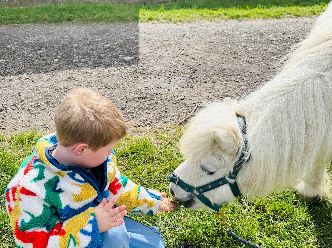Court Farm Country Park-Banwell必去景点