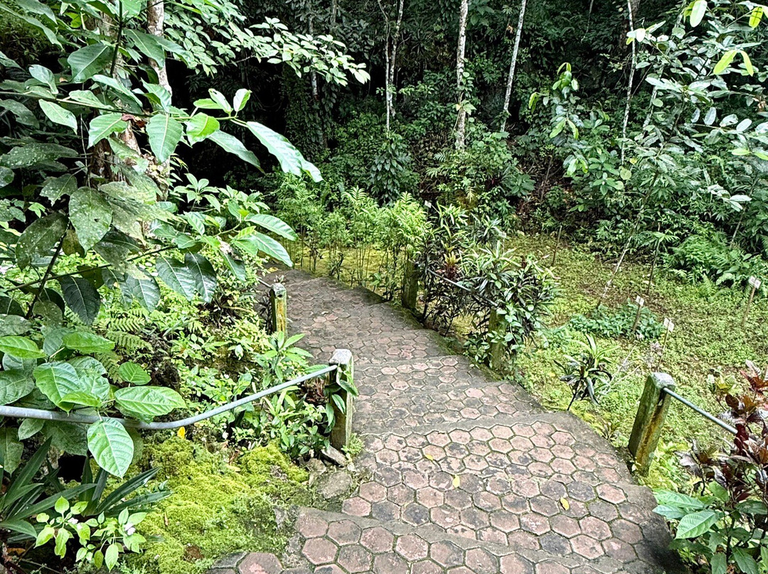 Hawang Cave-Letvuan必去景点