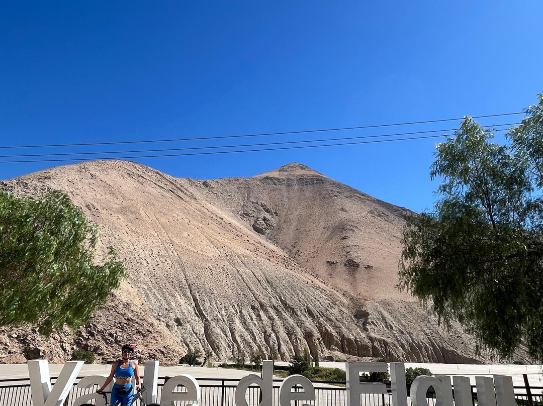 Elki Magic-Vicuna必去景点