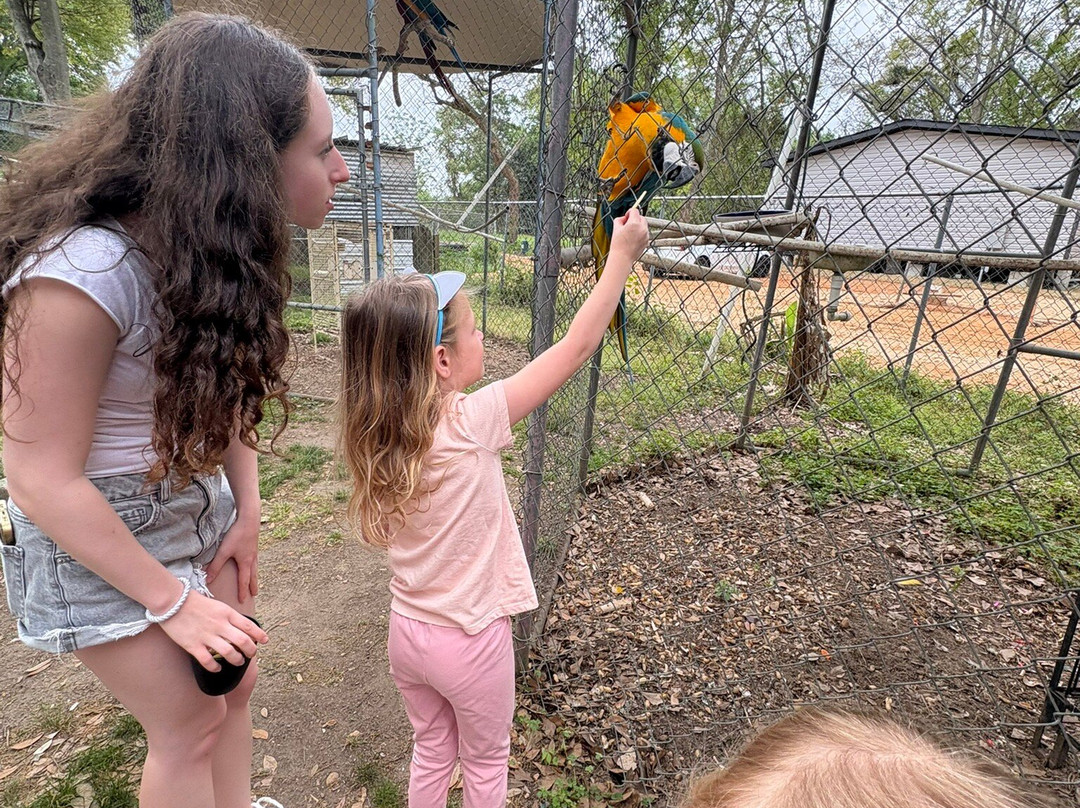 Uncle Sandy's Macaw Bird Park-彭萨科拉必去景点