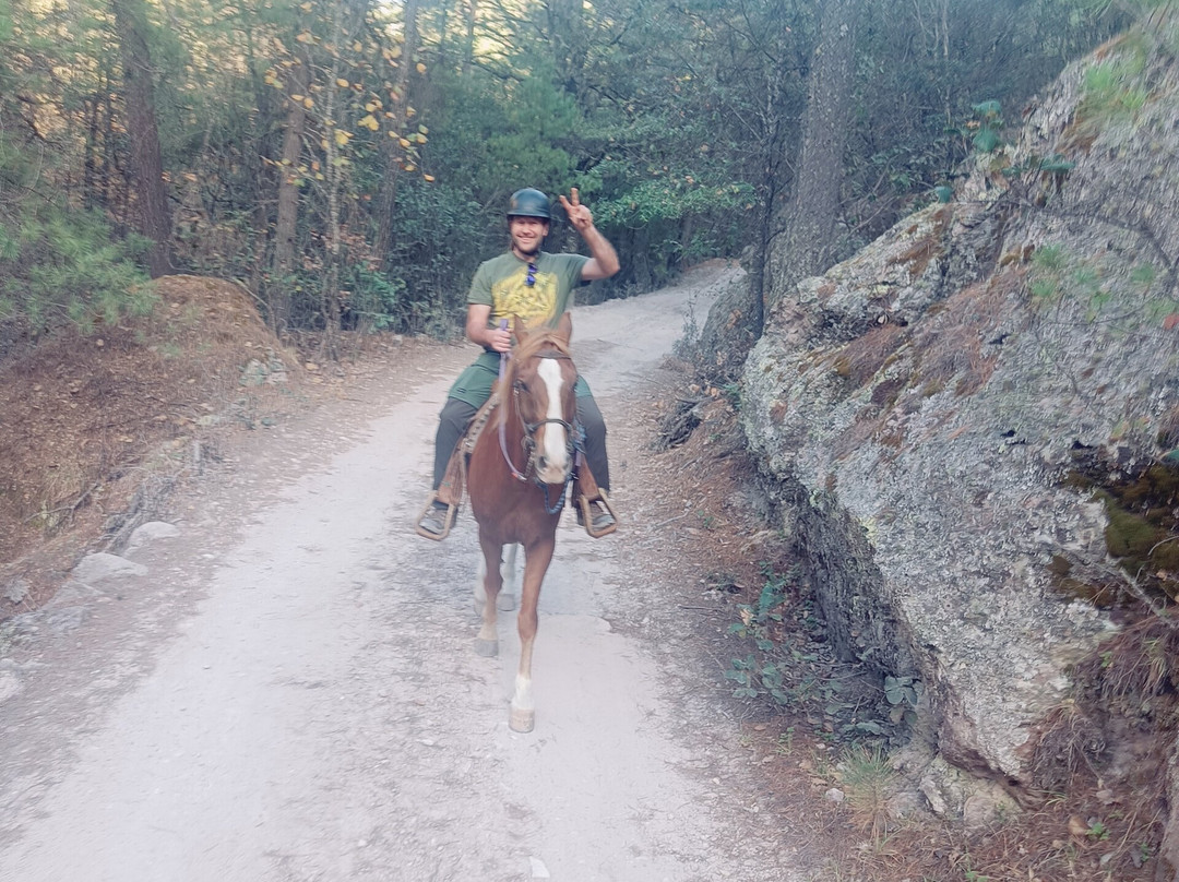 Creel Paseos A Caballo Vaquero-Creel必去景点