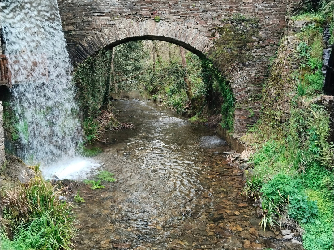 Museo Molinos Mazonovo-Taramundi必去景点