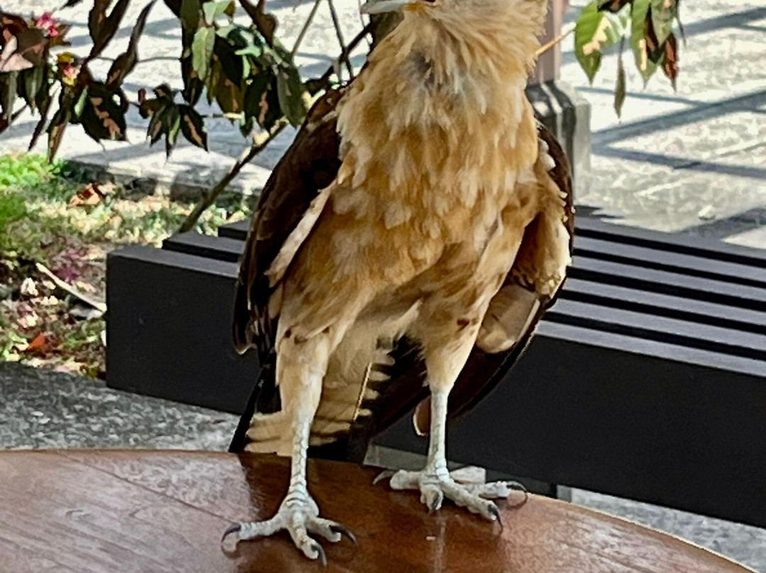 Yala Tours Panama-巴拿马城必去景点