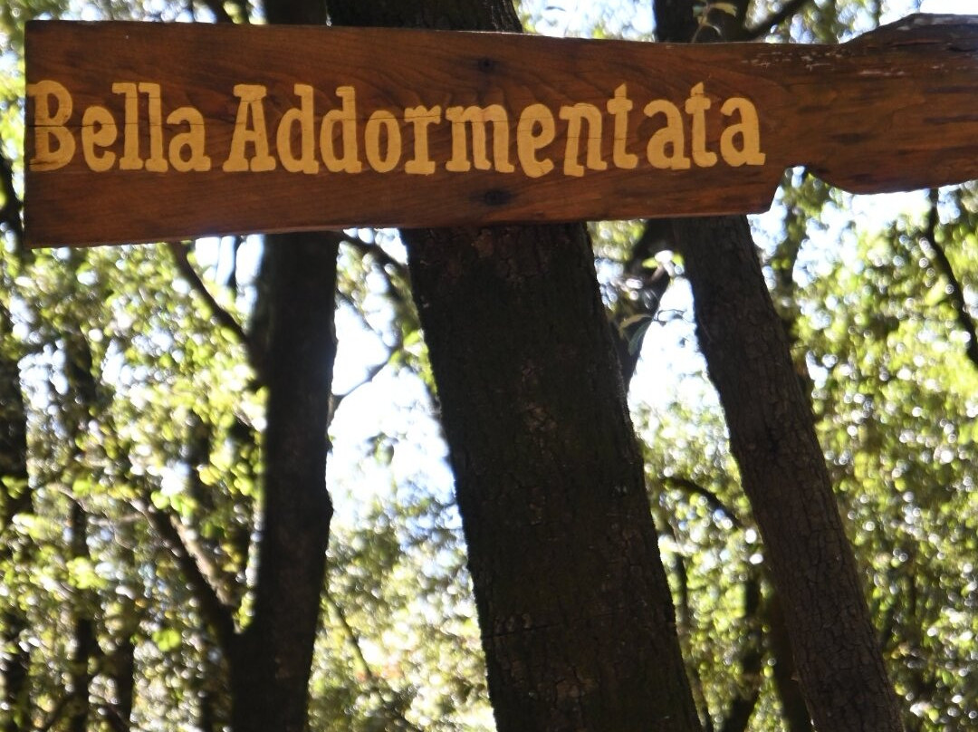 Città Della Domenica-佩鲁贾必去景点