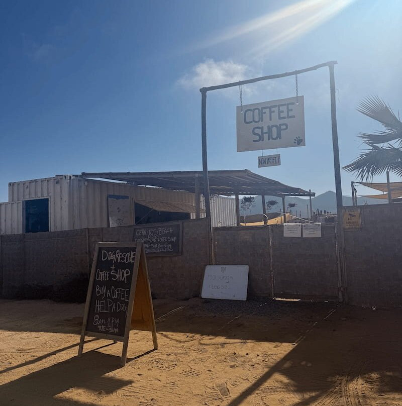 Cerritos Beach Dogs Café-Playa Cerritos必去景点