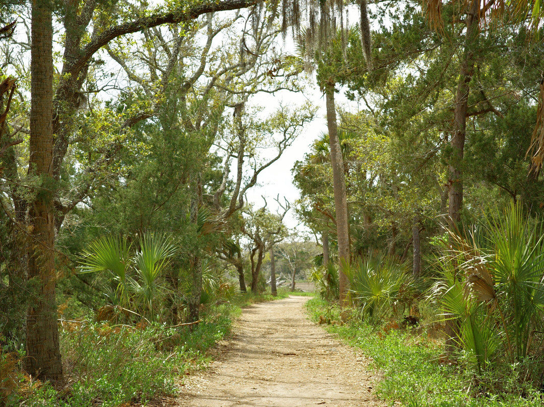 Driftwood Beach-埃迪斯托艾兰必去景点