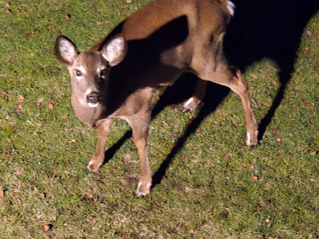 Water's Edge Inn主图