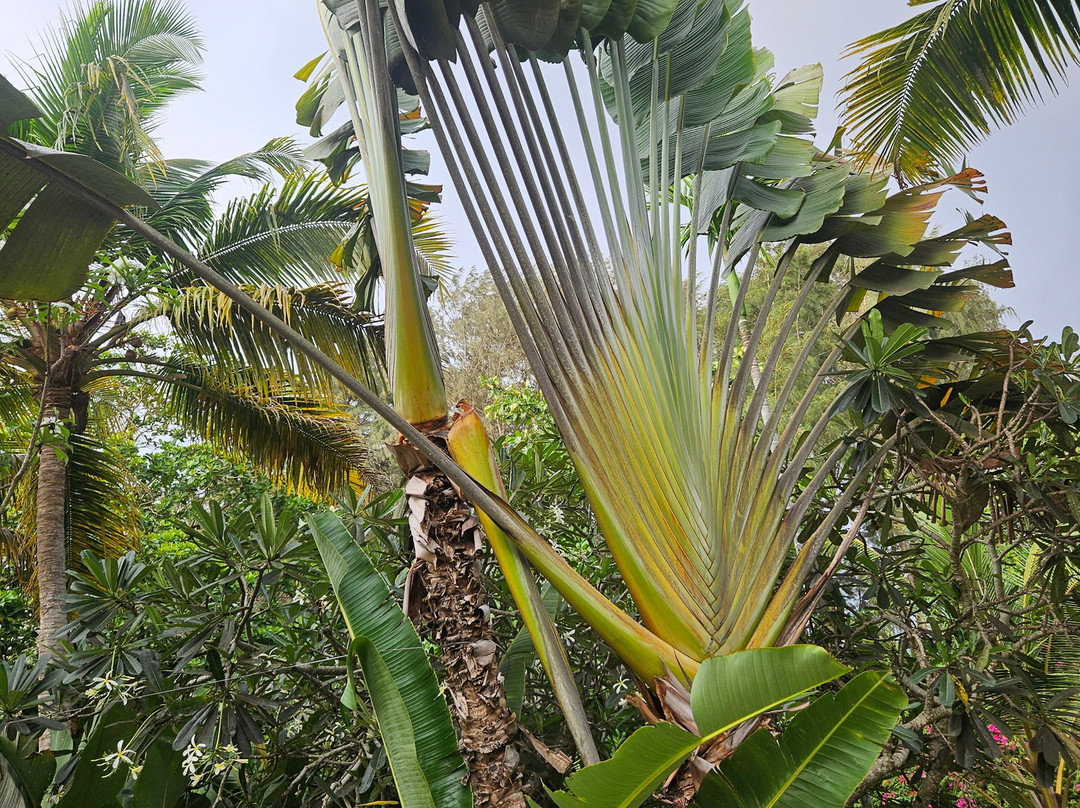 波瓦尔岛度假村主图