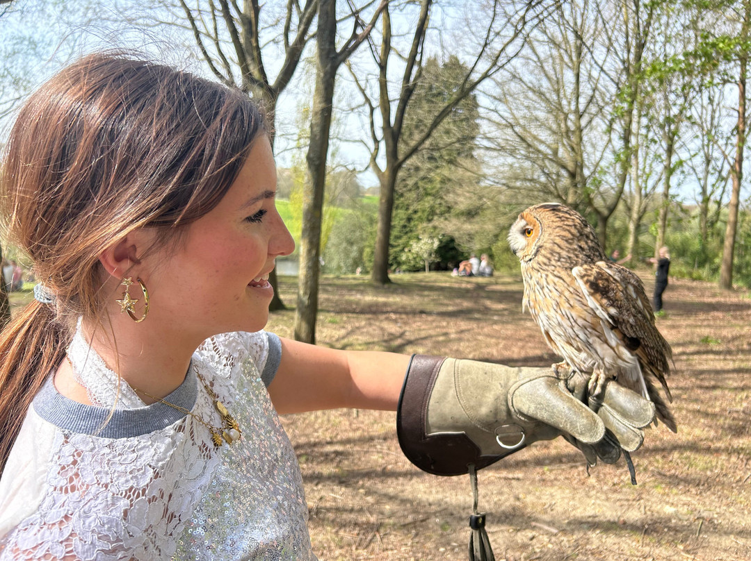 Leeds Castle Falconry Experiences-Leeds必去景点
