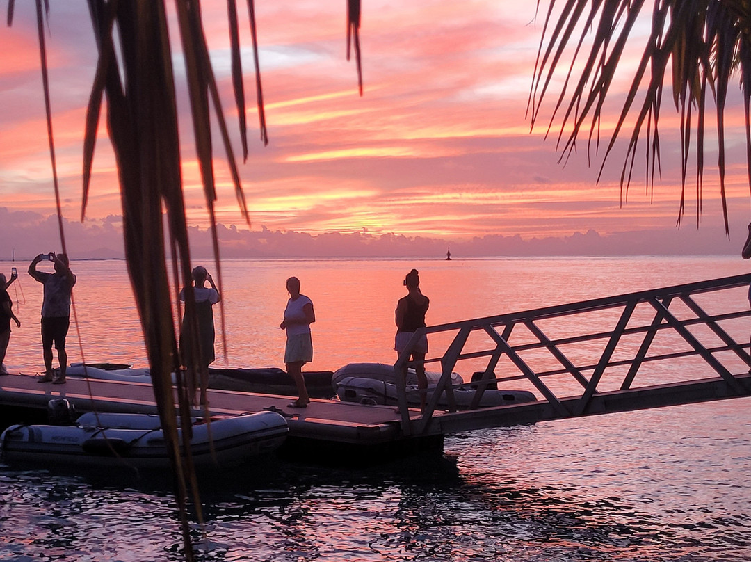 Dream Yacht Charter-Uturoa必去景点