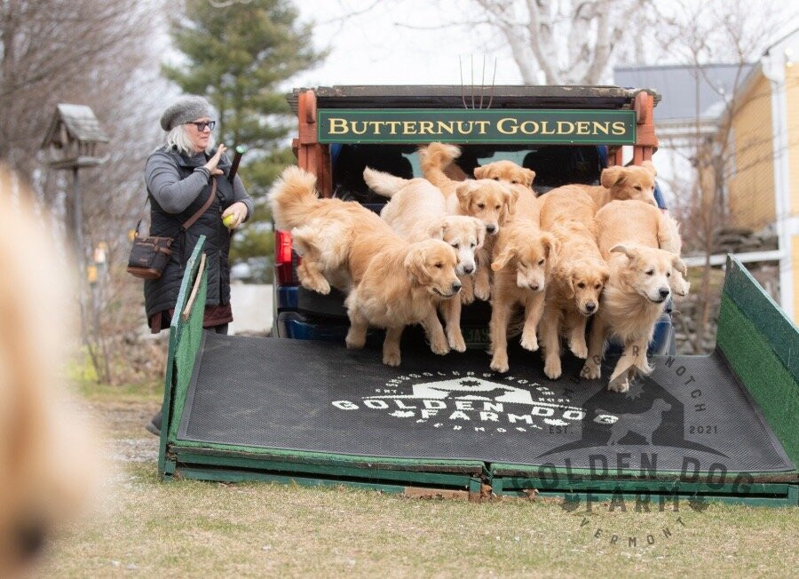 Golden Dog Farm-Jeffersonville必去景点