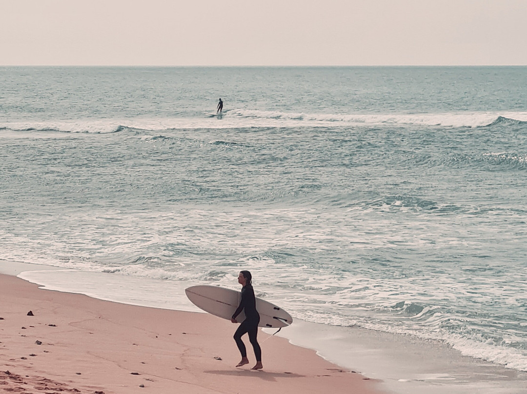 马德雷瑟瓦酒店主图