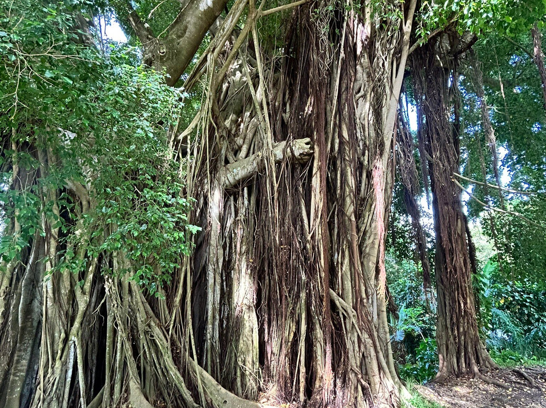 Poe Island Tour-Fare必去景点