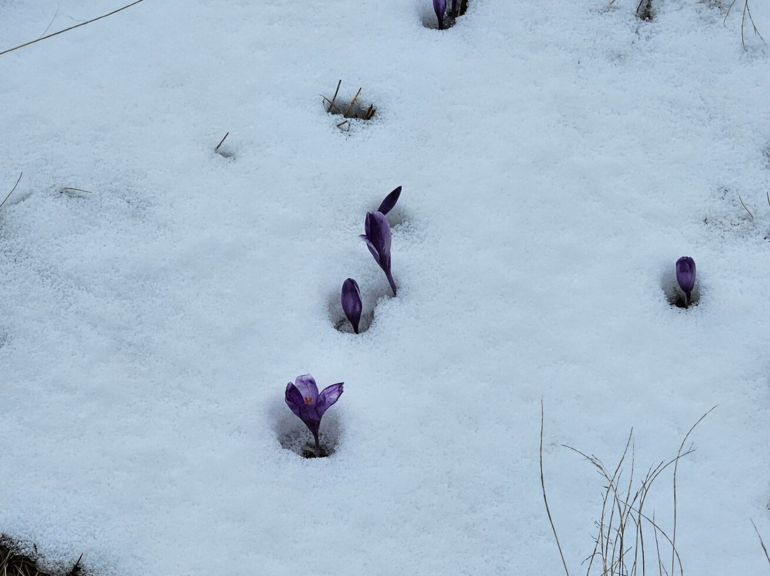 Castelnor Hotel & SPA主图