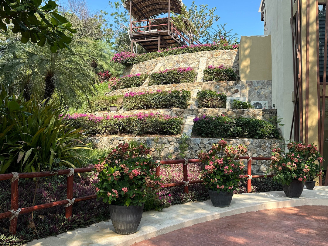 宾尼古安达华都尔科及海滩俱乐部主图