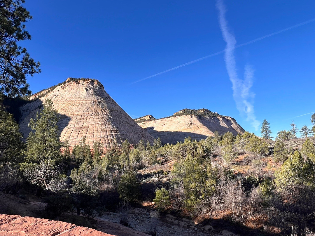 Checkerboard Mesa-锡安国家公园必去景点