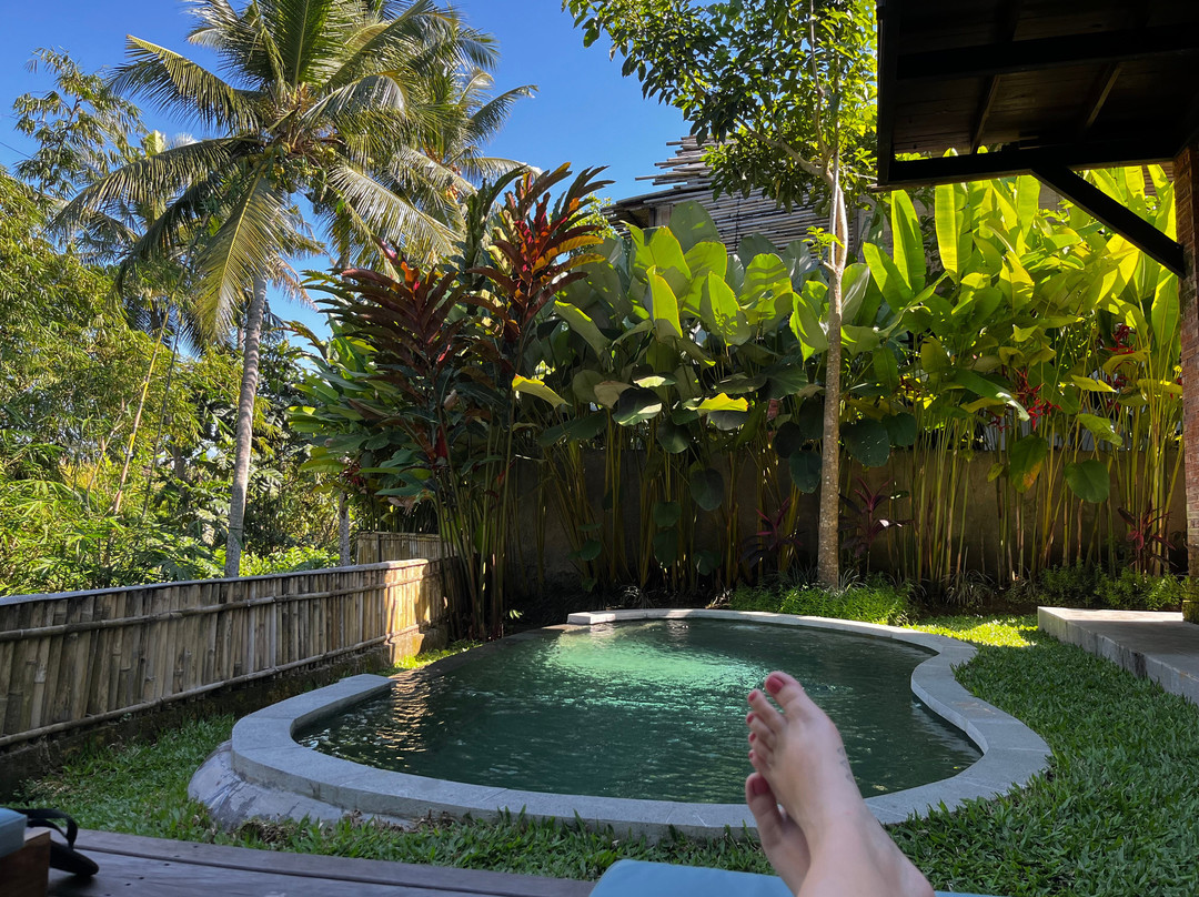 乌布蜂房酒店主图