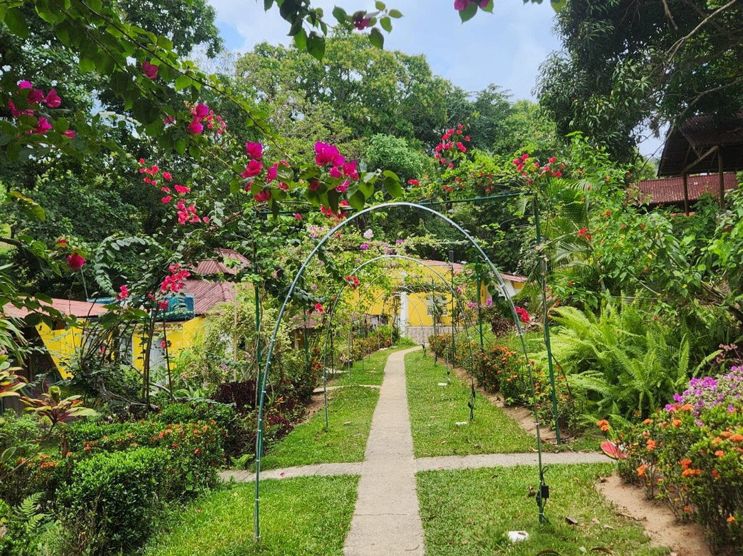 春努旅馆与帐篷营地明卡主图