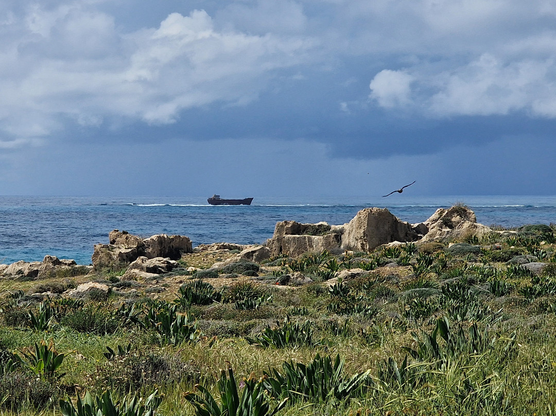 Shipwreck MV Demetrios II
