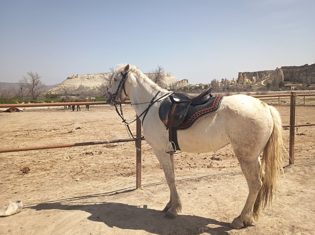Cappadocia Horse Ranch-内夫谢希尔必去景点
