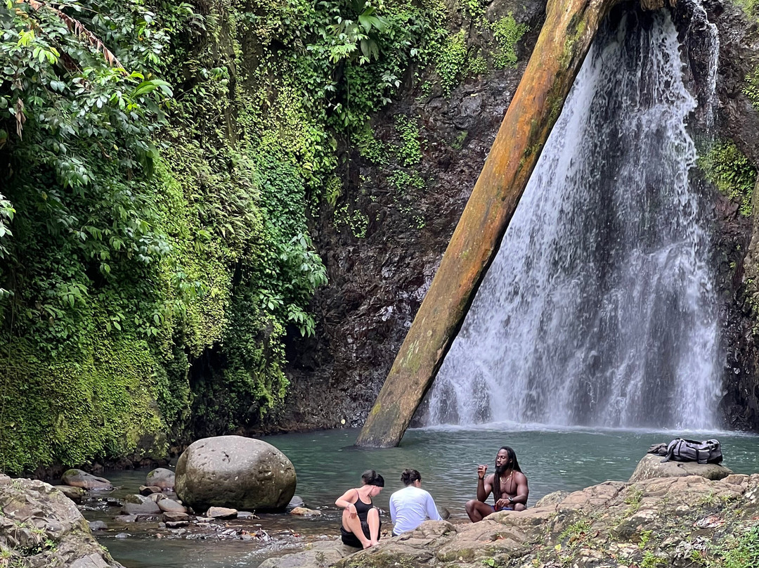 Seven Sisters Waterfalls Grenada-Grand Etang National Park必去景点
