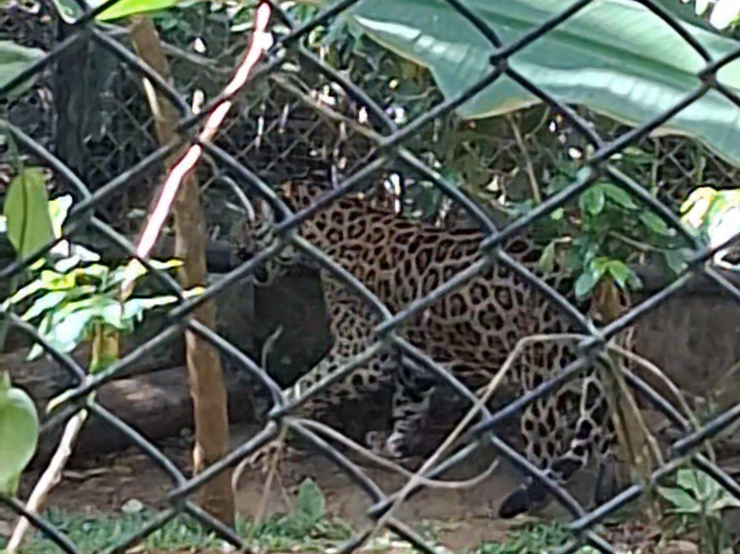 Rescate Wildlife Rescue Center-阿拉辉拉必去景点