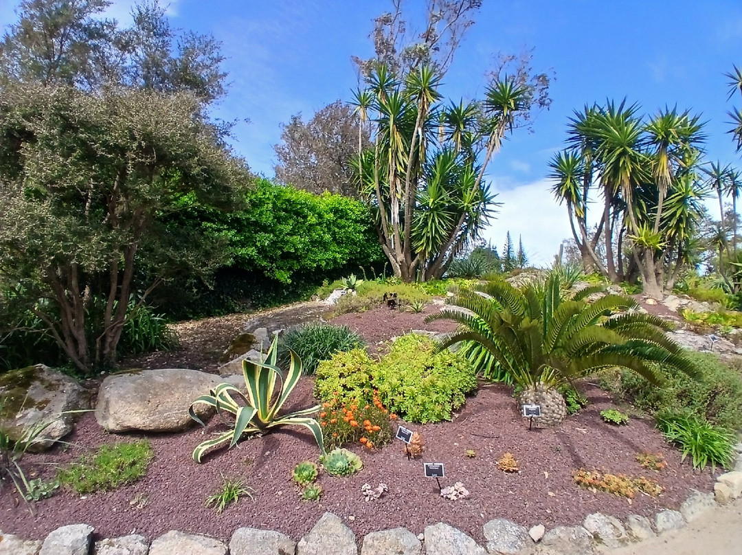 Jardin Exotique et Botanique de Roscoff-罗斯科夫必去景点