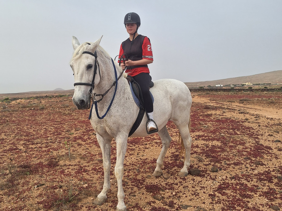 Horses Lanzarote-Teseguite必去景点