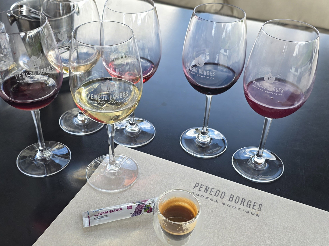 Penedo Borges Bodega Boutique-路冉得库约必去景点