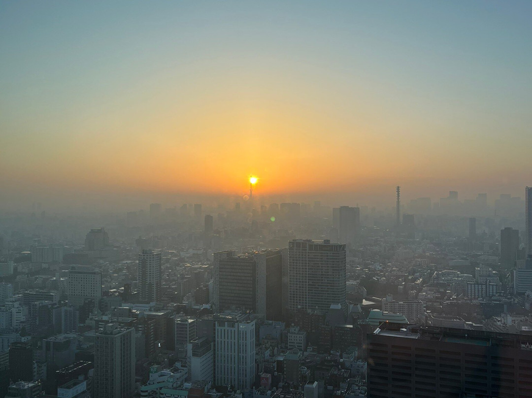 新宿宾乐雅环旅酒店主图