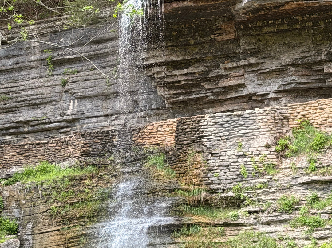 Dogwood Canyon Nature Park-Lampe必去景点