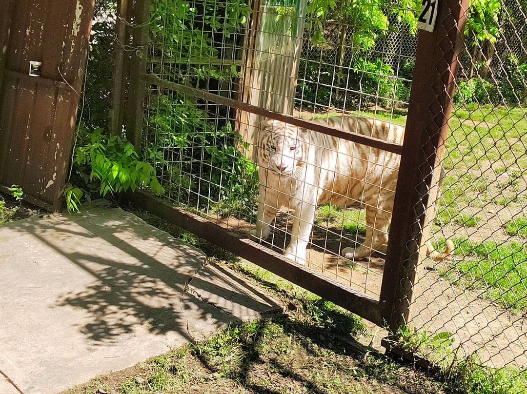 Safari Zoological Park-Caney必去景点