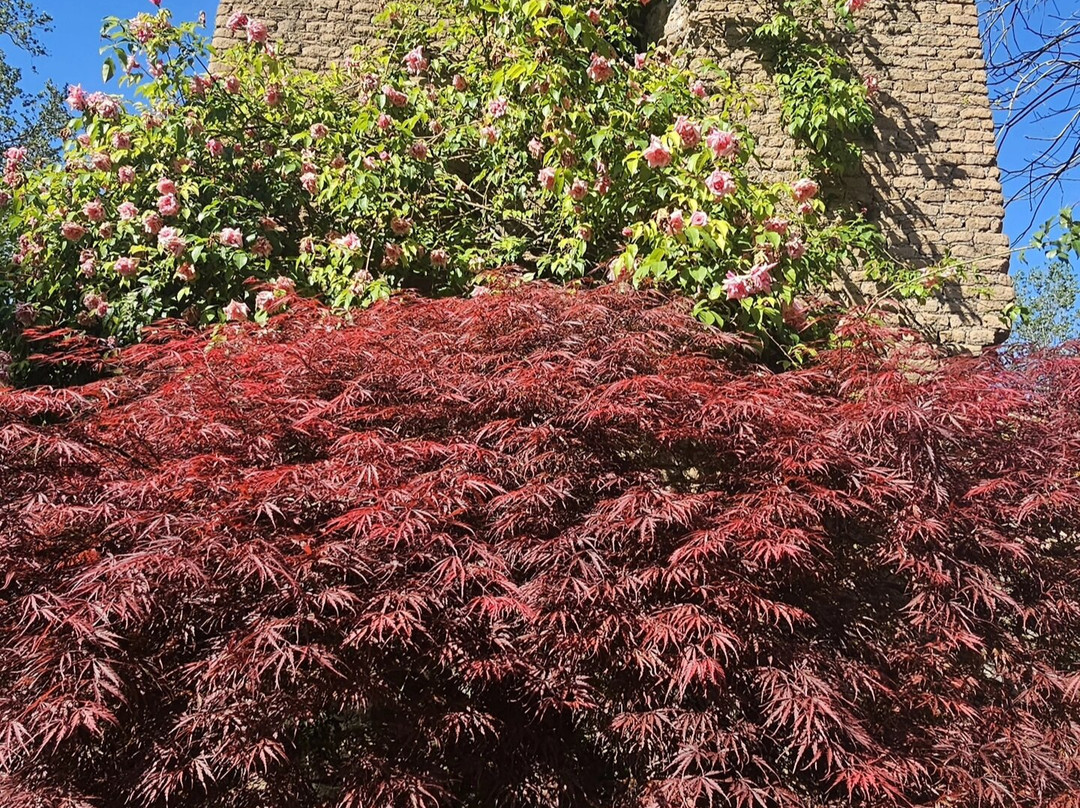 宁法花园 - 自然纪念碑-奇斯泰纳迪拉丁纳必去景点